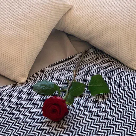 Apartma House Of Roses