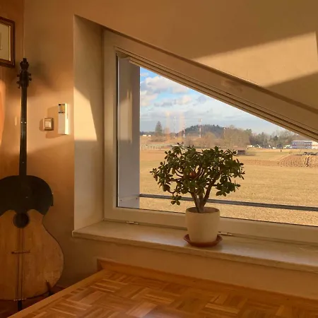 Apartma House Of Roses