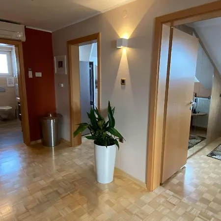 Appartement Apartma House Of Roses *